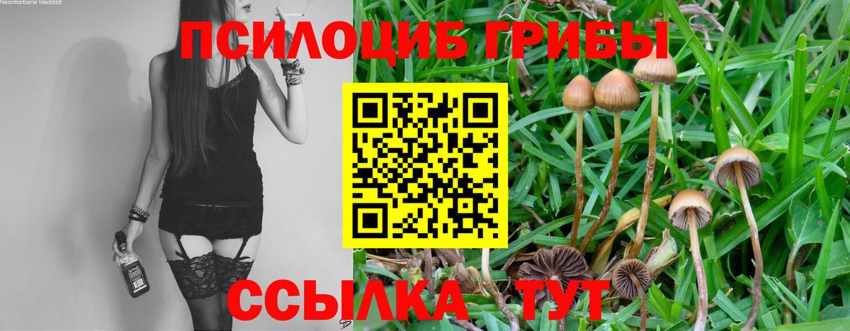 Псилоцибиновые грибы ЛСД  Галлюциногенные грибы Cubensis  Вход с VPN  Карпинск 
